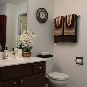 Model Unit Bathroom